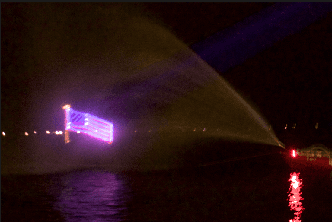 Laser Show Audience